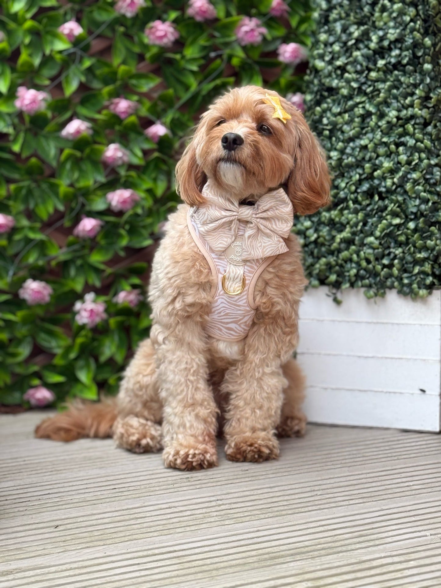 Savannah Stripes Bow