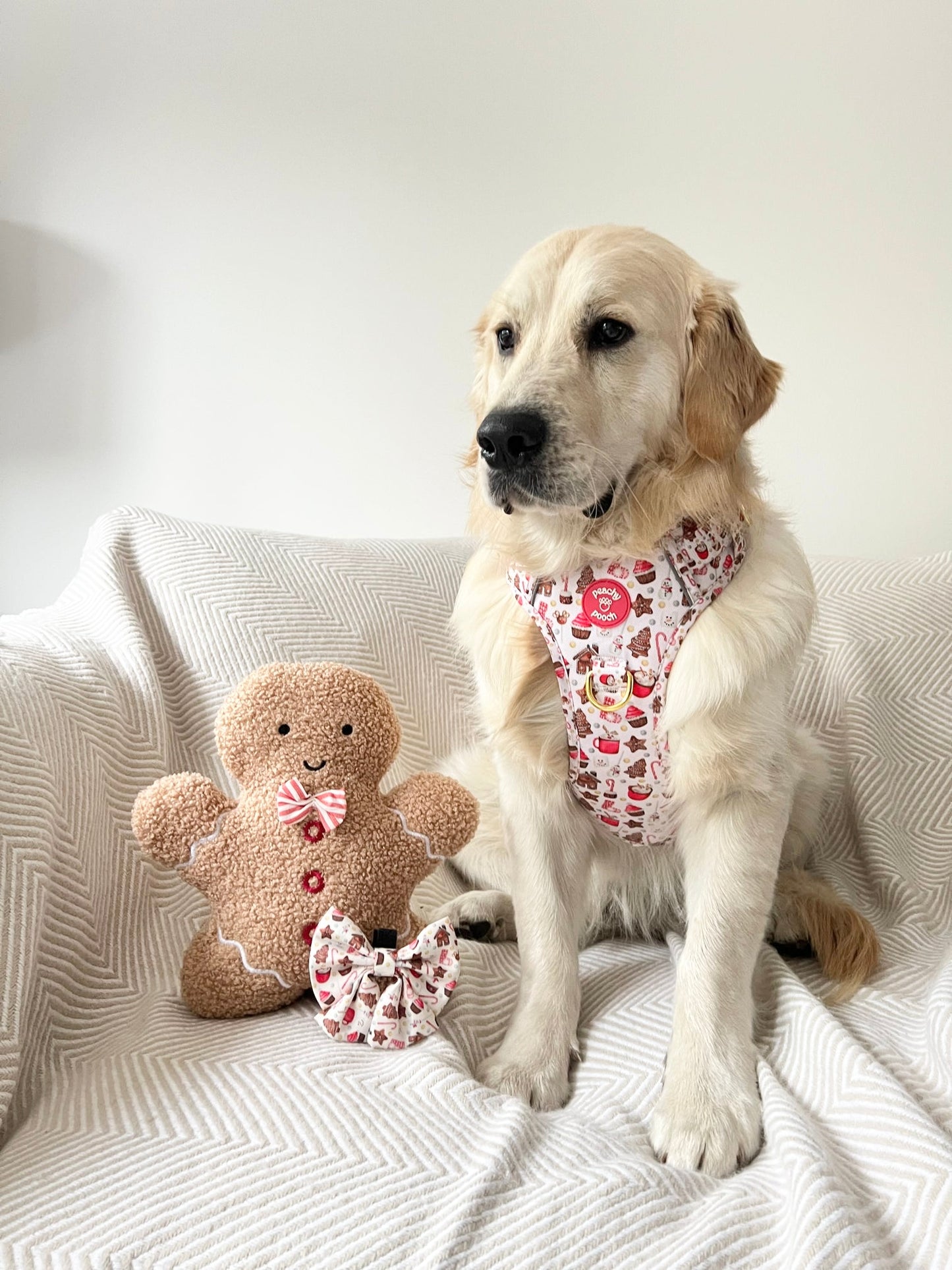 Festive Delights Expedition Paws Harness