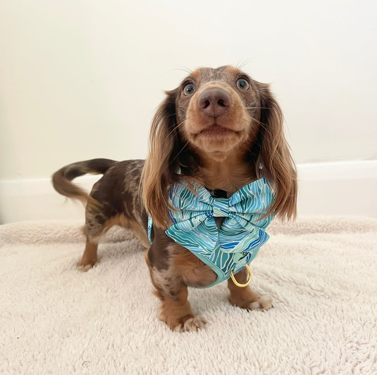Blue Lagoon Bow Tie