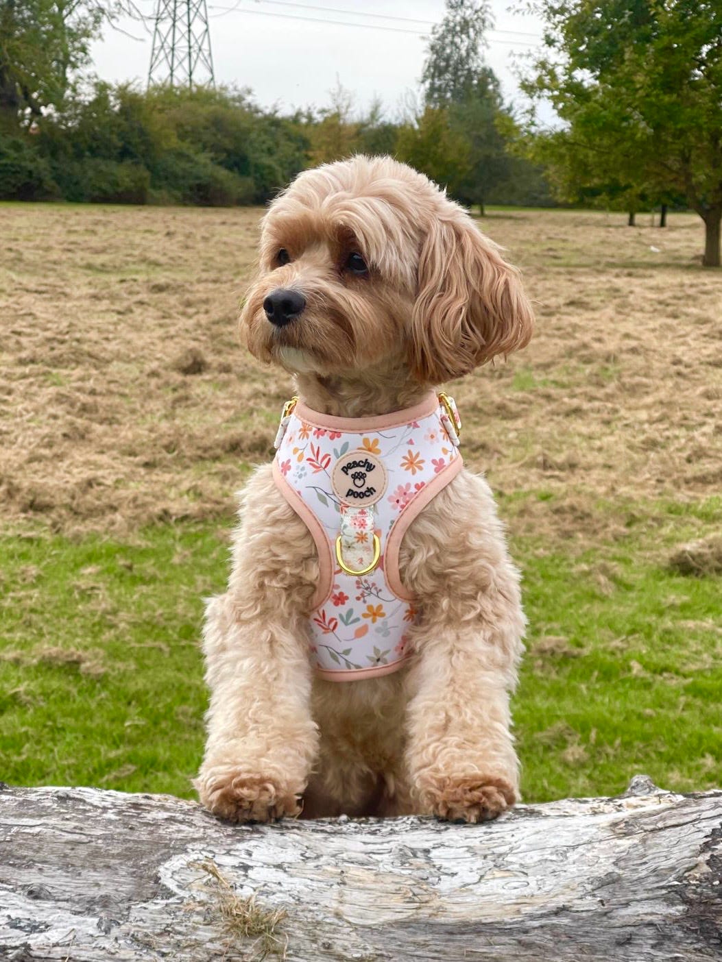 Floral Bloom Harness