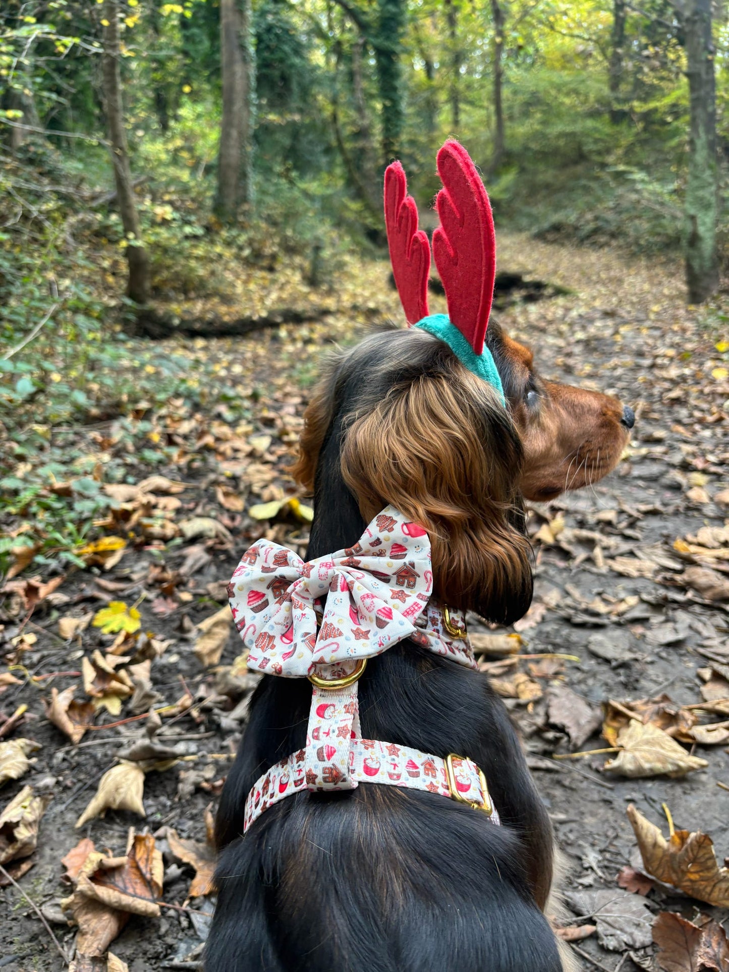 Festive Delights Bow Tie