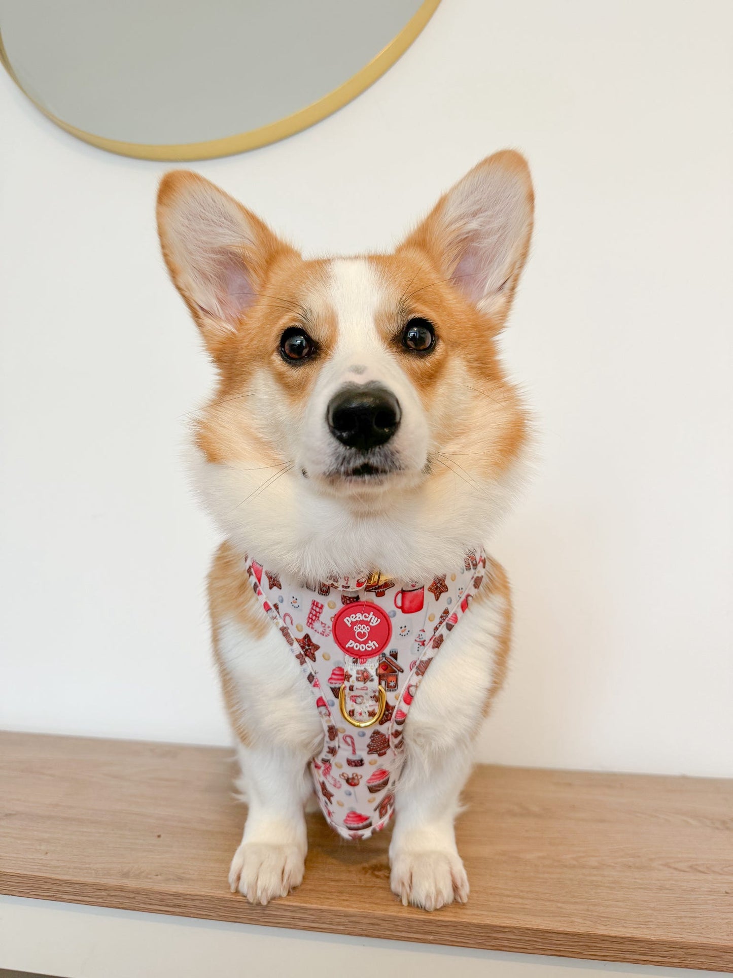 Festive Delights Adjustable Harness