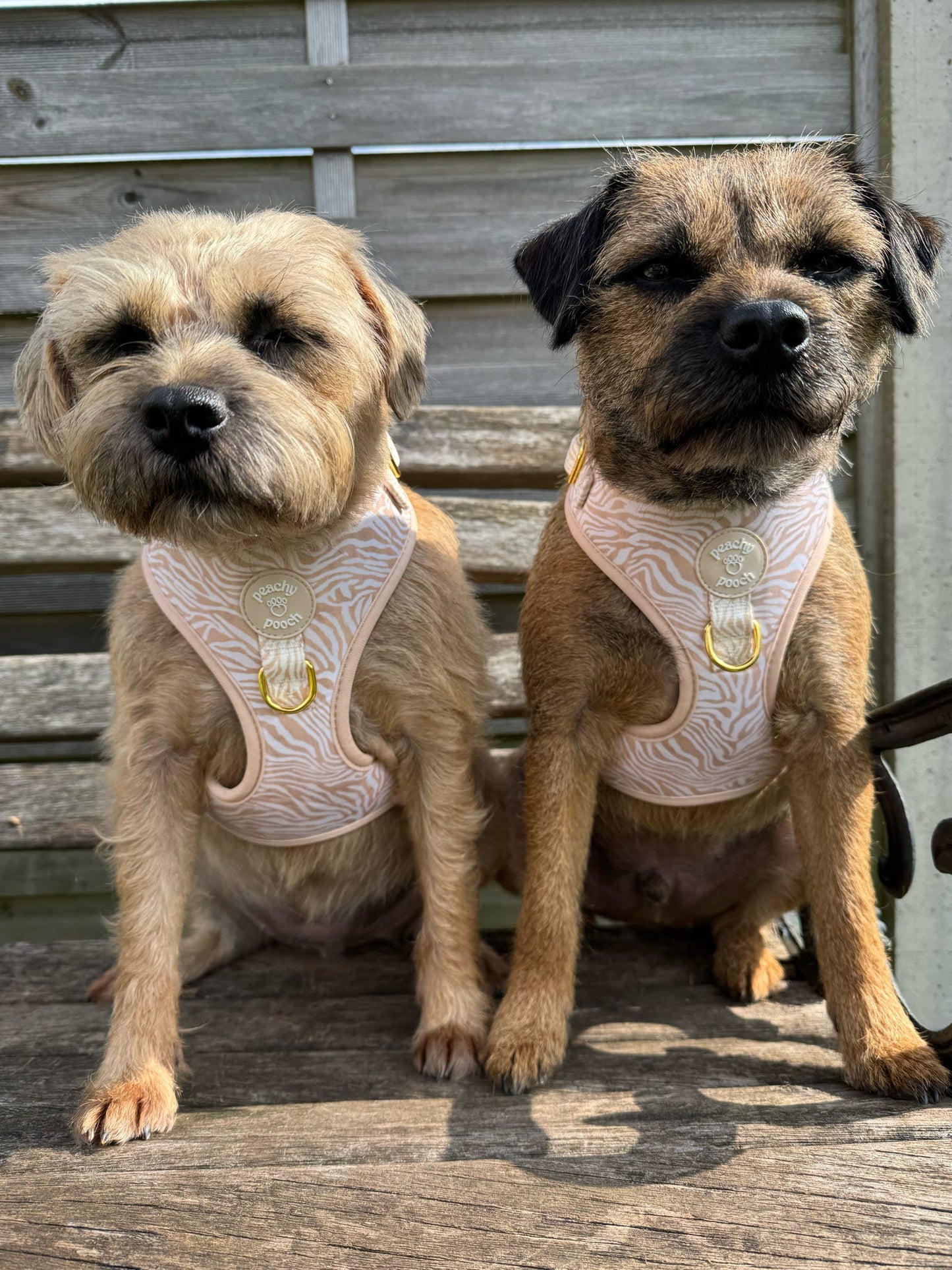 Savannah Stripes Adjustable Harness