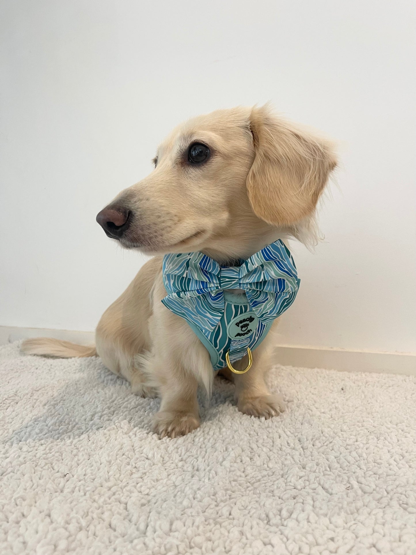 Blue Lagoon Bow Tie