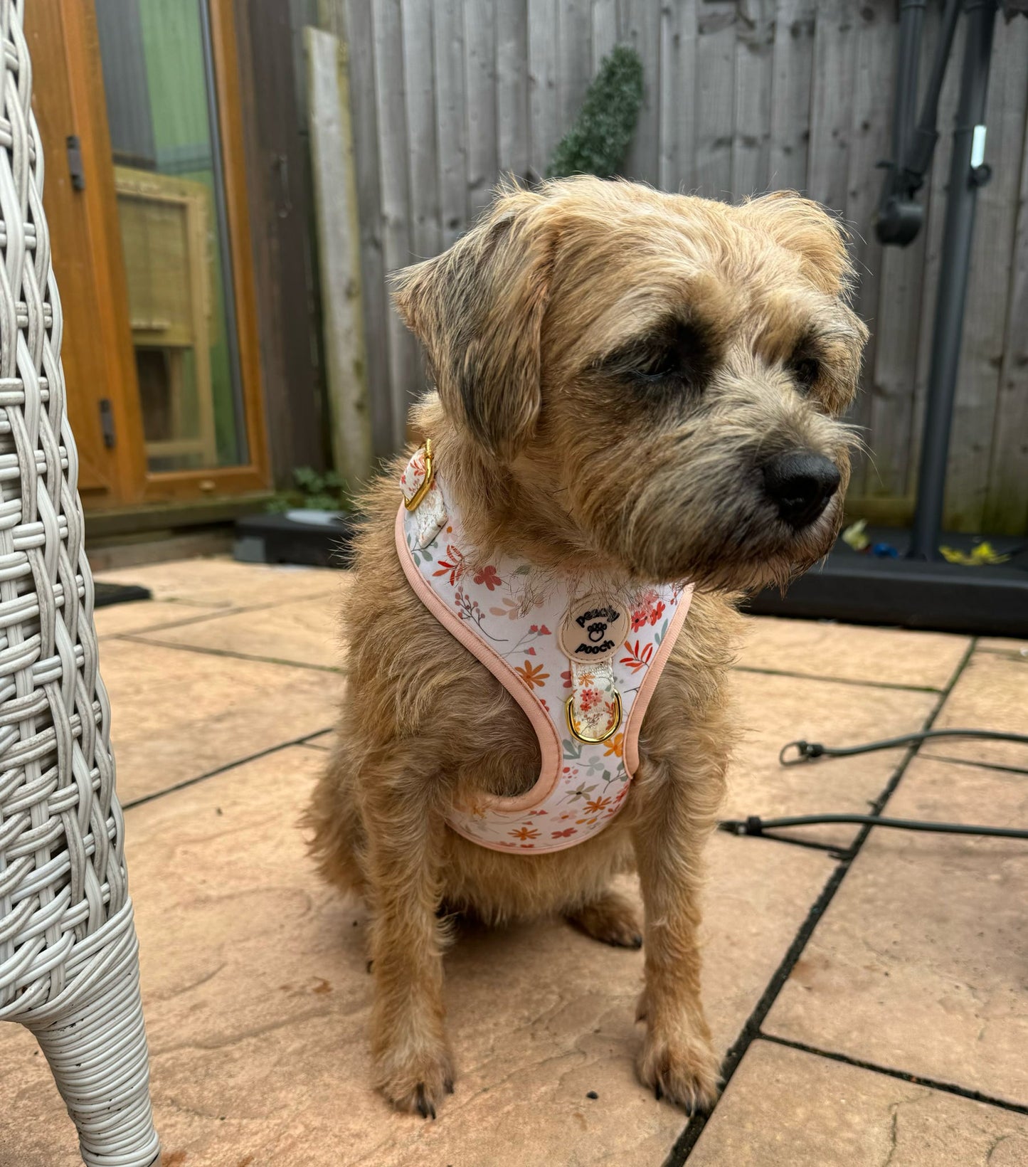 Floral Bloom Harness