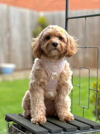 Savannah Stripes Adjustable Harness
