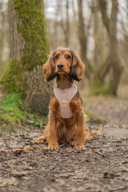 Savannah Stripes Adjustable Harness