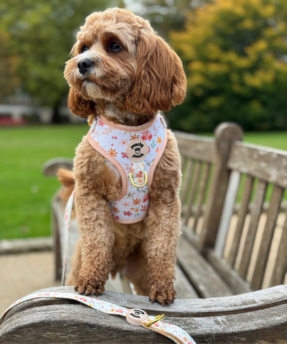 Floral Bloom Harness