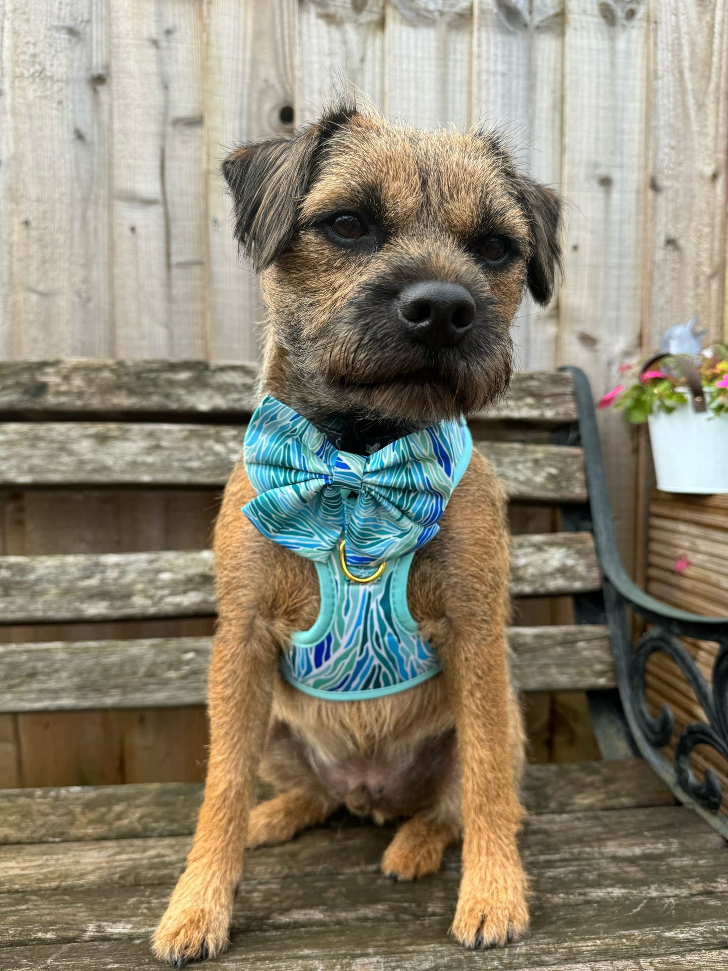 Blue Lagoon Bow Tie