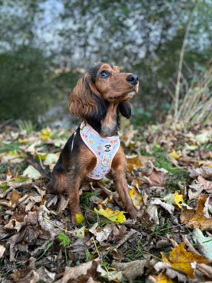 Floral Bloom Harness